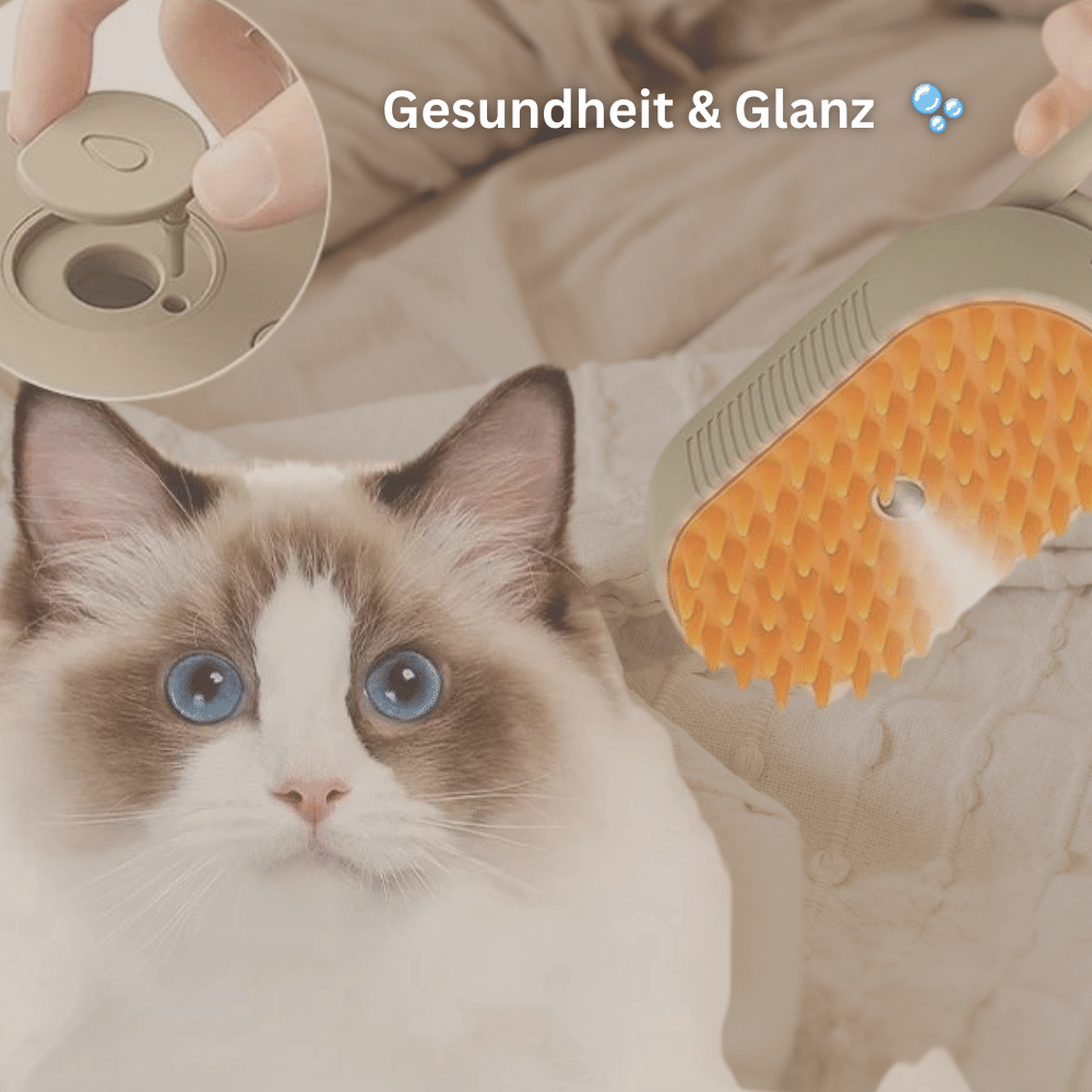 KittyBrush